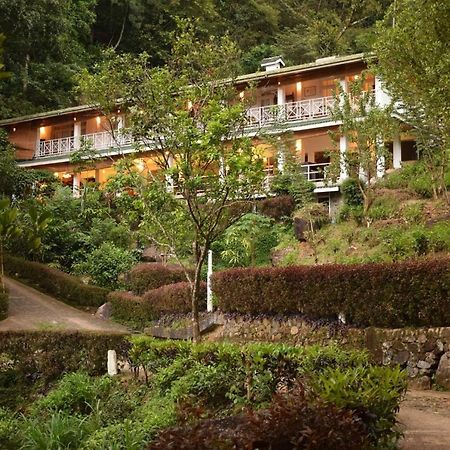 Forest Edge Hotel Ginigathena Екстер'єр фото