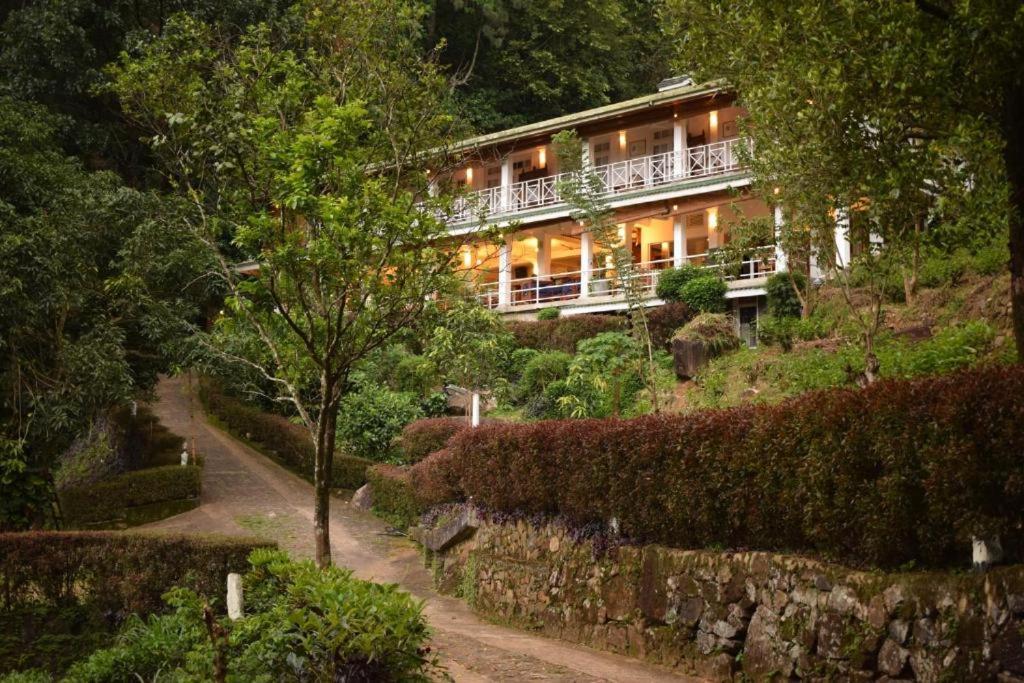 Forest Edge Hotel Ginigathena Екстер'єр фото