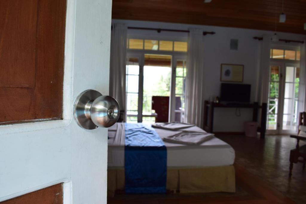 Forest Edge Hotel Ginigathena Екстер'єр фото